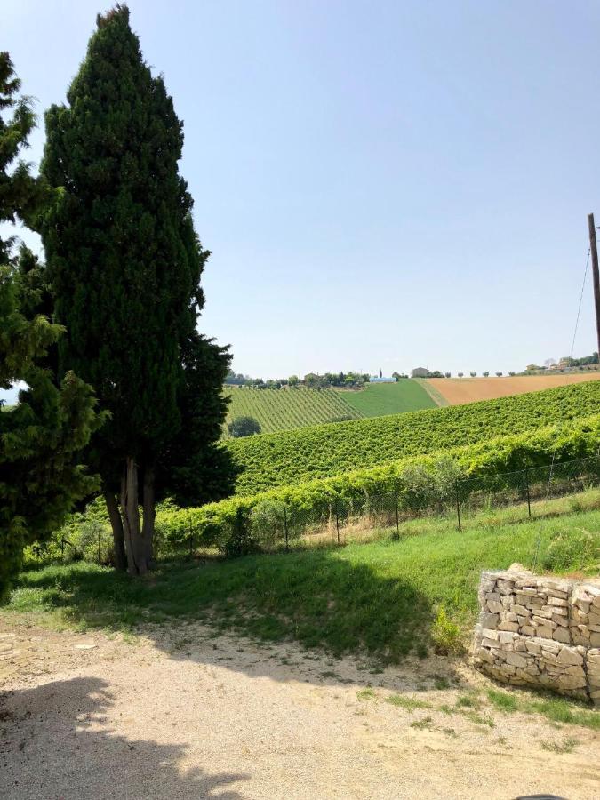 B&B Santa Caterina Acquaviva Picena Buitenkant foto