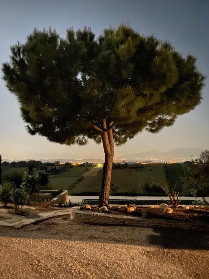 B&B Santa Caterina Acquaviva Picena Buitenkant foto
