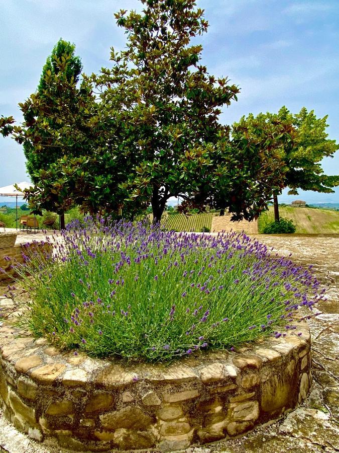 B&B Santa Caterina Acquaviva Picena Buitenkant foto